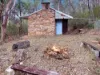 34 Cedar Street, Wollombi, NSW 2325-Image