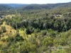 34 Cedar Street, Wollombi, NSW 2325-Image