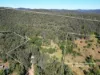 34 Cedar Street, Wollombi, NSW 2325-Image