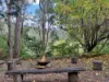 34 Cedar Street, Wollombi, NSW 2325-Image