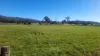 34 Lamberts Road, Merseylea, Tas 7305-Image