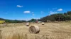 34 Lamberts Road, Merseylea, Tas 7305-Image