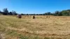 34 Lamberts Road, Merseylea, Tas 7305-Image
