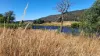 34 Lamberts Road, Merseylea, Tas 7305-Image