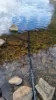 34 Lamberts Road, Merseylea, Tas 7305-Image