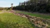 34 Lamberts Road, Merseylea, Tas 7305-Image