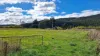 34 Lamberts Road, Merseylea, Tas 7305-Image