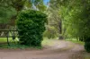 34 Mandurama Road, Mandurama, NSW 2792-Image