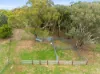 34 Mandurama Road, Mandurama, NSW 2792-Image