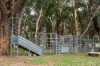 34 Mandurama Road, Mandurama, NSW 2792-Image