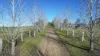 342 Mantons Road, Lawrence, NSW 2460-Image