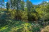345 Glen Road, Craven NSW 2422-Image