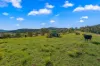 345 Glen Road, Craven NSW 2422-Image