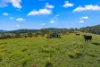 345 Glen Road, Craven NSW 2422-Image
