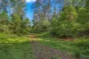 345 Glen Road, Craven NSW 2422-Image