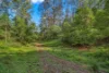 345 Glen Road, Craven NSW 2422-Image