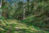 345 Glen Road, Craven NSW 2422-Image