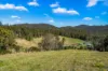 345 Glen Road, Craven NSW 2422-Image