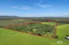 346 Roiko Road, Mareeba, Qld 4880-Image
