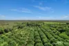 346 Roiko Road, Mareeba, Qld 4880-Image