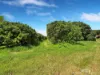 346 Roiko Road, Mareeba, Qld 4880-Image