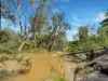 346 Roiko Road, Mareeba, Qld 4880-Image