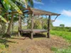 346 Roiko Road, Mareeba, Qld 4880-Image