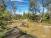 346 Roiko Road, Mareeba, Qld 4880-Image