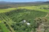 346 Roiko Road, Mareeba, Qld 4880-Image