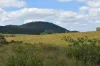 35 Bakers Road, Bauple, Qld 4650-Image