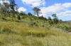 35 Bakers Road, Bauple, Qld 4650-Image