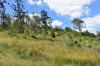 35 Bakers Road, Bauple, Qld 4650-Image