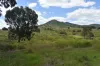 35 Bakers Road, Bauple, Qld 4650-Image
