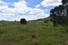35 Bakers Road, Bauple, Qld 4650-Image