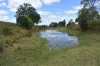 35 Bakers Road, Bauple, Qld 4650-Image