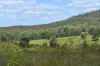 35 Bakers Road, Bauple, Qld 4650-Image