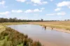 35 Beryl Road, Gulgong, NSW 2852-Image