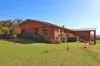 35 Murrays Lane, Grenfell, NSW 2810-Image