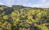 350 Molybdonite Road, Locksley, NSW 2795-Image