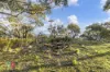 350 Molybdonite Road, Locksley, NSW 2795-Image