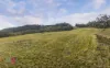 350 Molybdonite Road, Locksley, NSW 2795-Image
