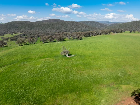 351  Paling Yards Loop, Orange, NSW 2800 - For Sale