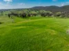 351  Paling Yards Loop, Orange, NSW 2800-Image