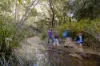 351 Spring Valley Road, Lyons, Qld 4124-Image