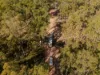 351 Spring Valley Road, Lyons, Qld 4124-Image