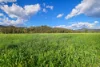 352 Ogunbil Road, Dungowan, NSW 2340-Image