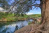352 Ogunbil Road, Dungowan, NSW 2340-Image