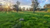 352 Ogunbil Road, Dungowan, NSW 2340-Image