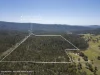 3535 Armidale Road, Nymboida, NSW 2460