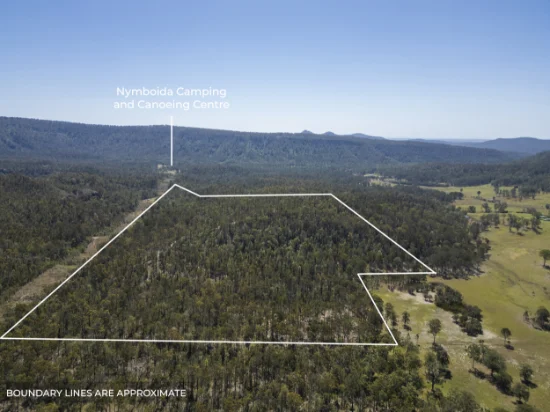 3535 Armidale Road, Nymboida, NSW 2460